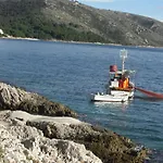Branko Trogir