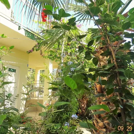 Branko Apartment *