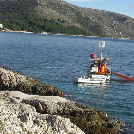 Branko Trogir