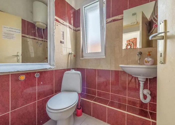 Branko * 特罗吉尔