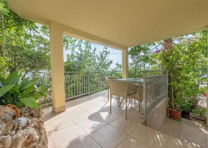 Branko Τρογκίρ