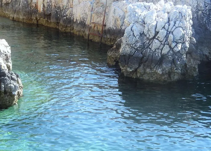 Branko Διαμέρισμα