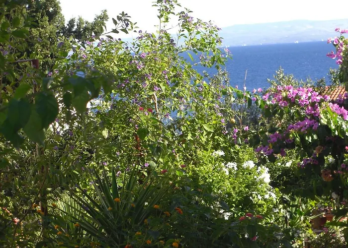 Διαμέρισμα Branko